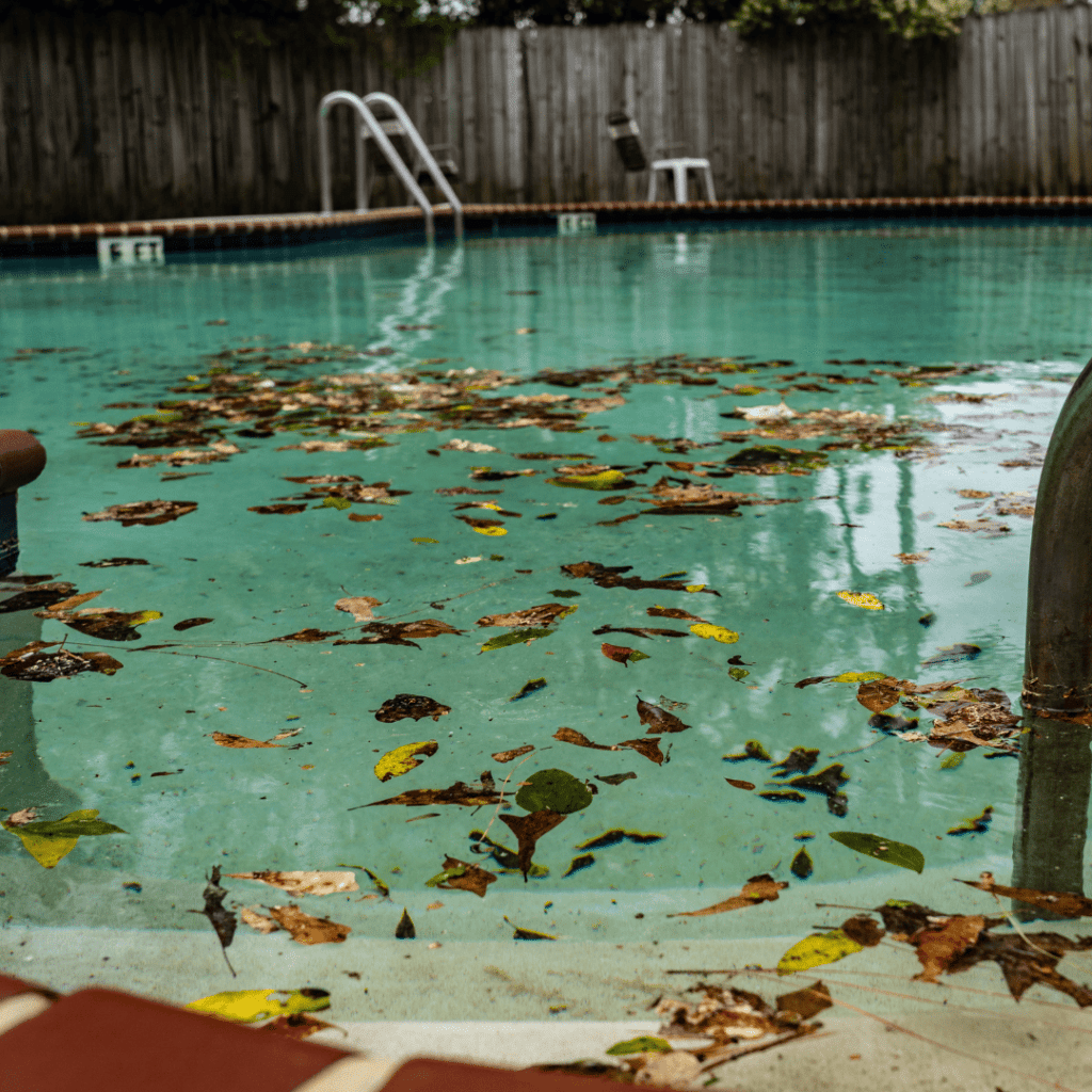 ¡Que el Otoño no Frene tu Baño en la piscina!